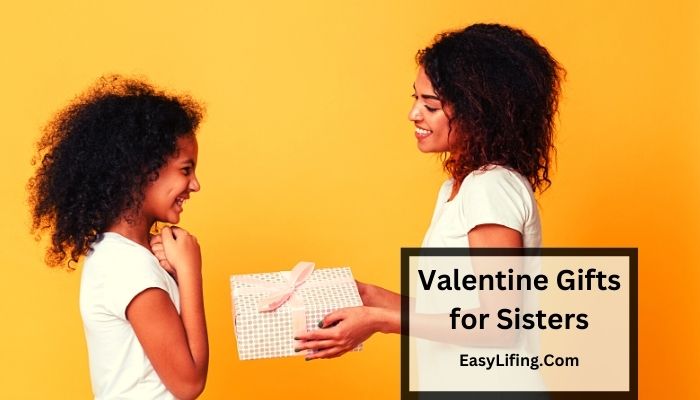 Valentine Gifts for Sisters-Secret Sister Valentine Gift Ideas-Best Valentine's Day Gifts for Sisters-EasyLifing.Com